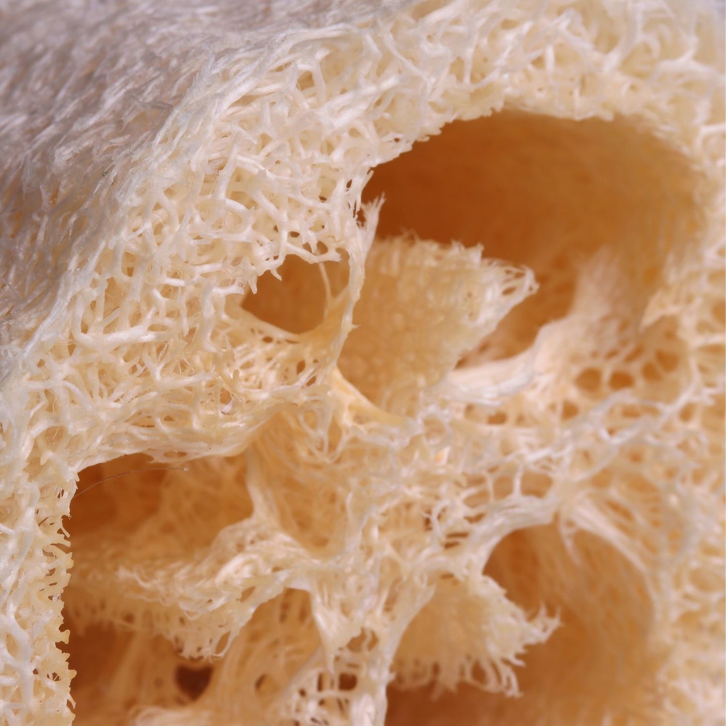 100% Natural Loofah