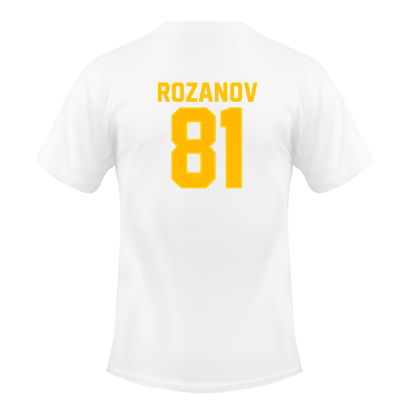 Heated Rivalry Boston Raiders Rozanov 81 (DOUBLE-SIDED)  T-shirt | Hockey Graphic Tee | Printed Shirt |