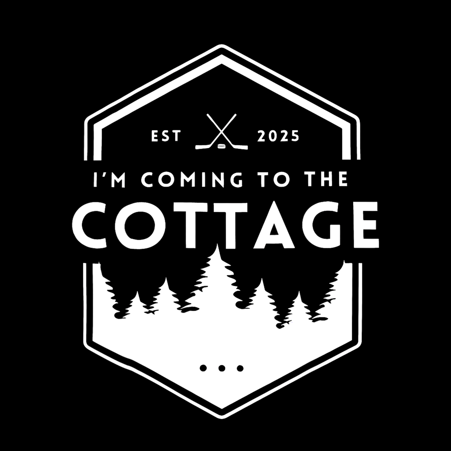 I’m Coming To The Cottage Heated Rivalry T-shirt | Hockey Graphic Tee | Printed Shirt |