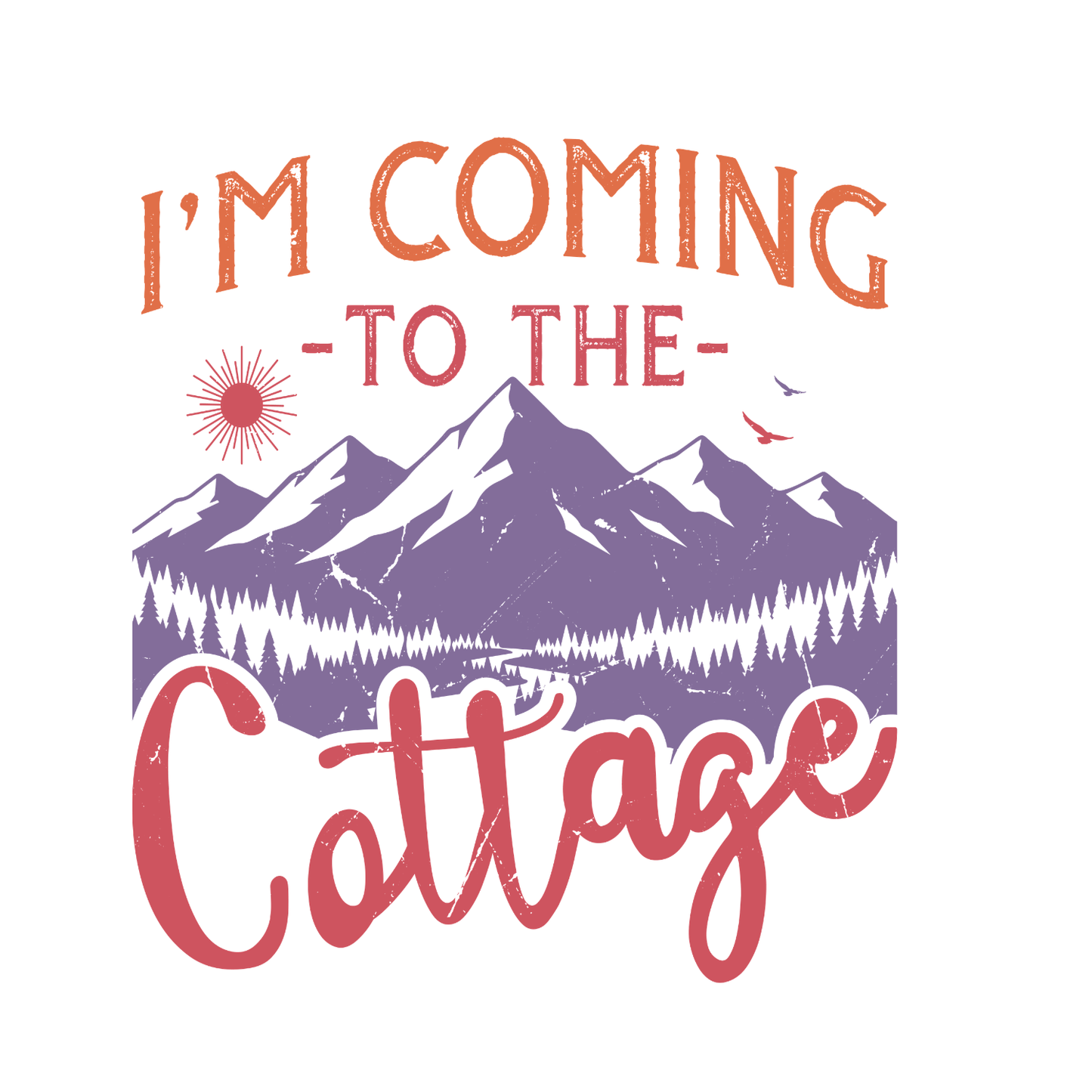 I’m Coming To The Cottage Heated Rivalry T-shirt | Hockey Graphic Tee | Printed Shirt |