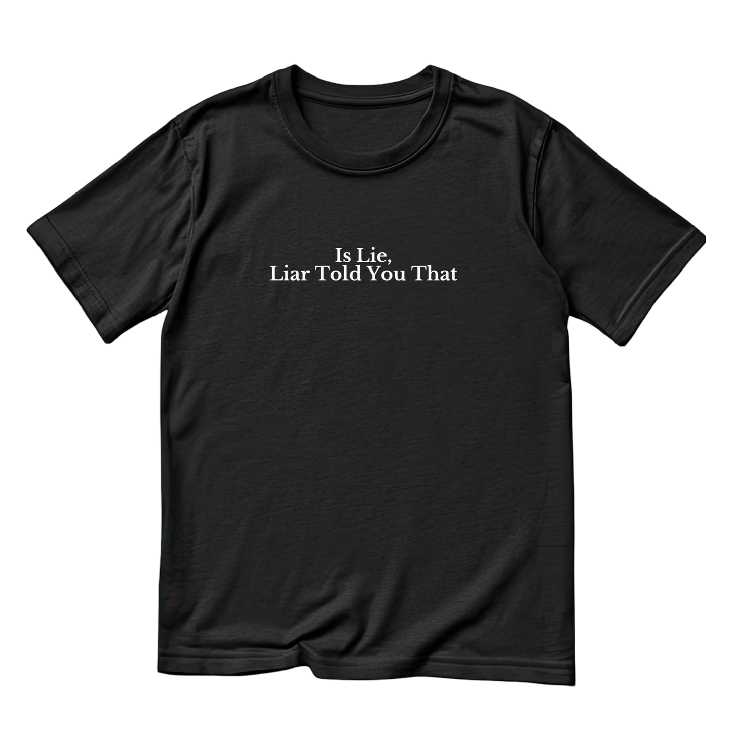 Is Lie, Liar Told You That Heated Rivalry T-shirt | Hockey Graphic Tee | Printed Shirt | Readers
