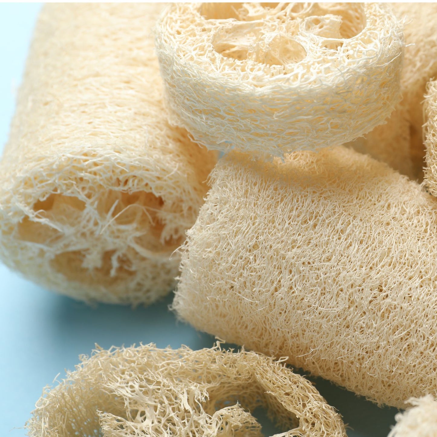 100% Natural Loofah