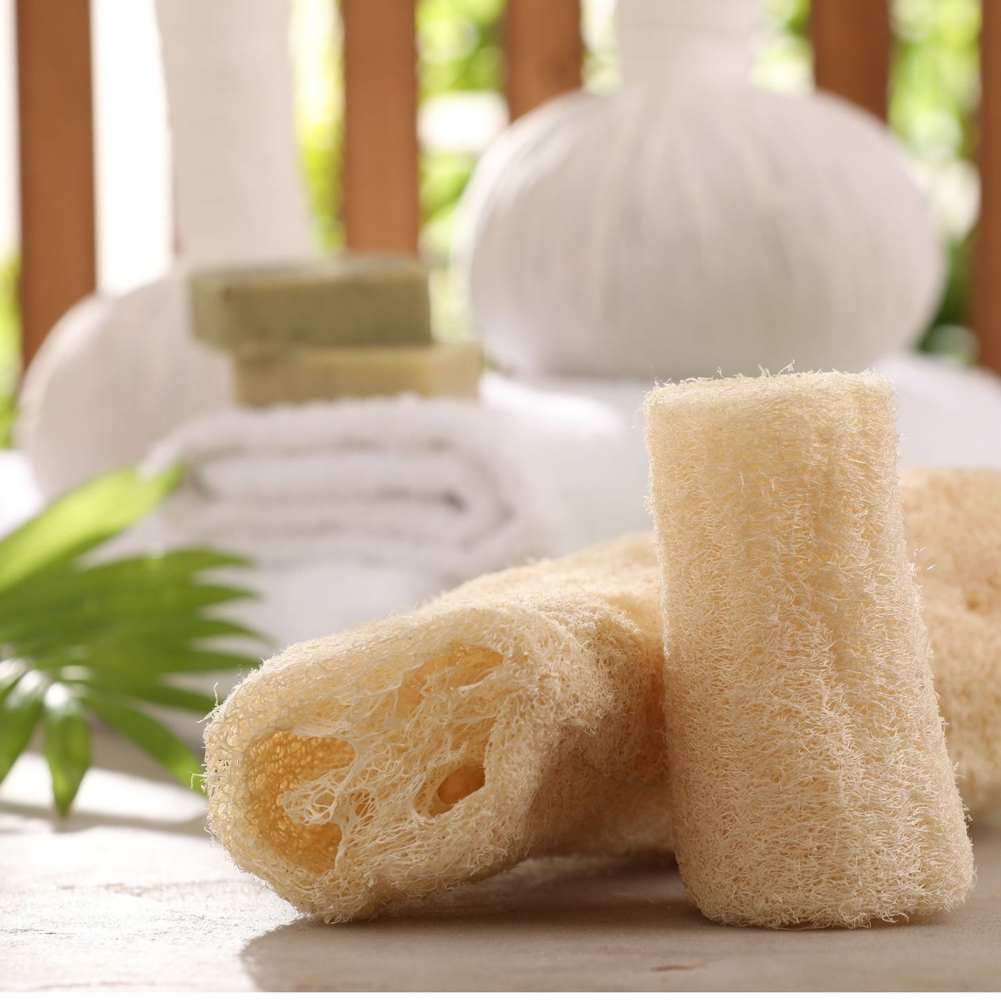 100% Natural Loofah