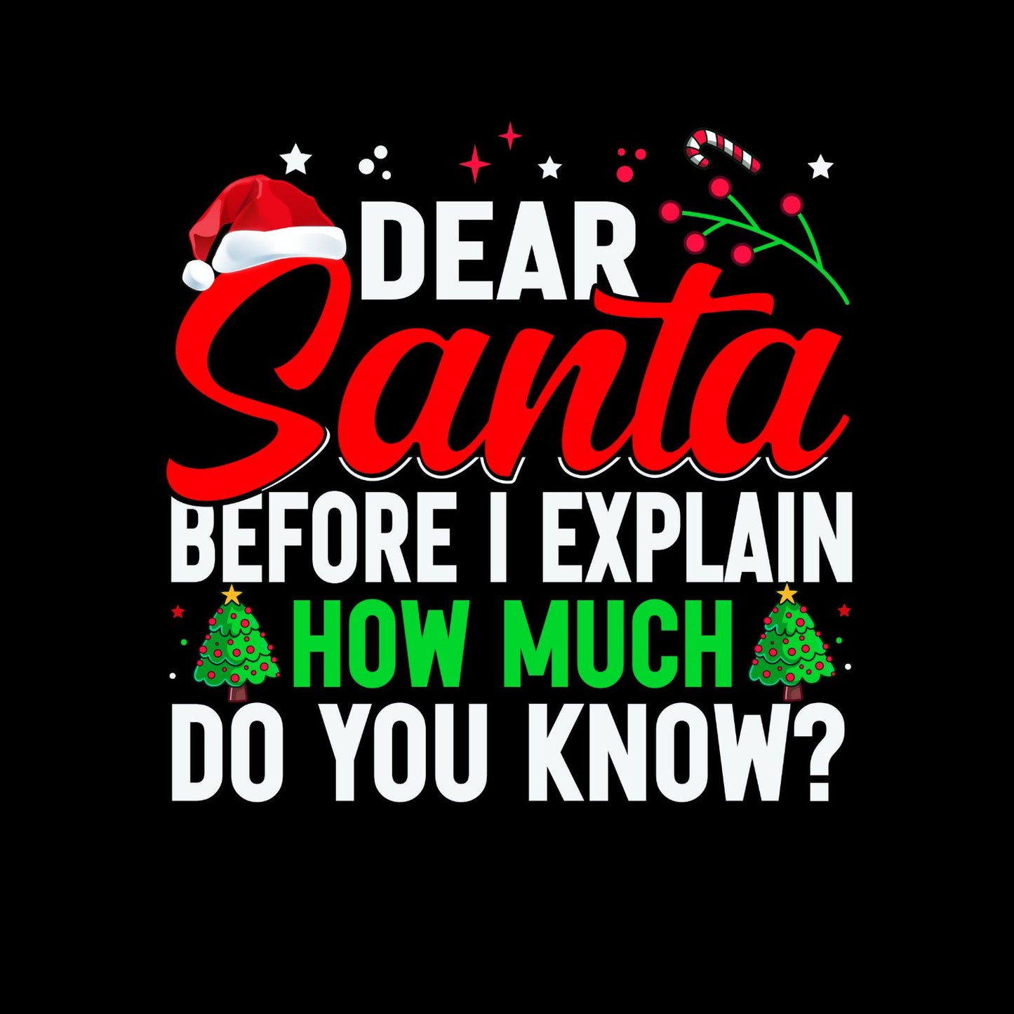 Dear Santa Before I Explain How Much Do You Know? T-shirt
