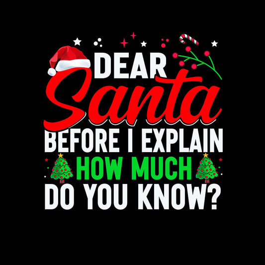 Dear Santa Before I Explain How Much Do You Know? T-shirt