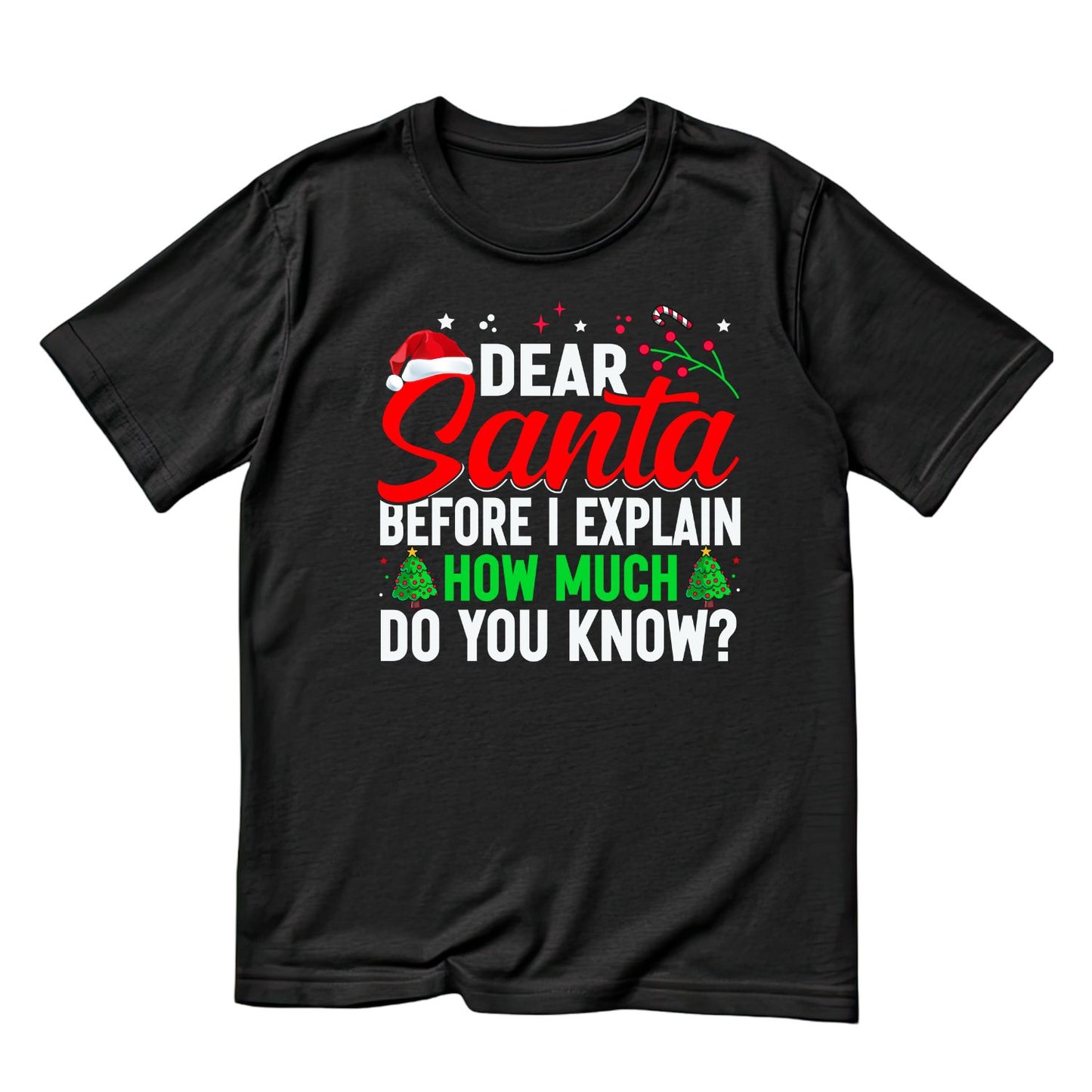 Dear Santa Before I Explain How Much Do You Know? T-shirt