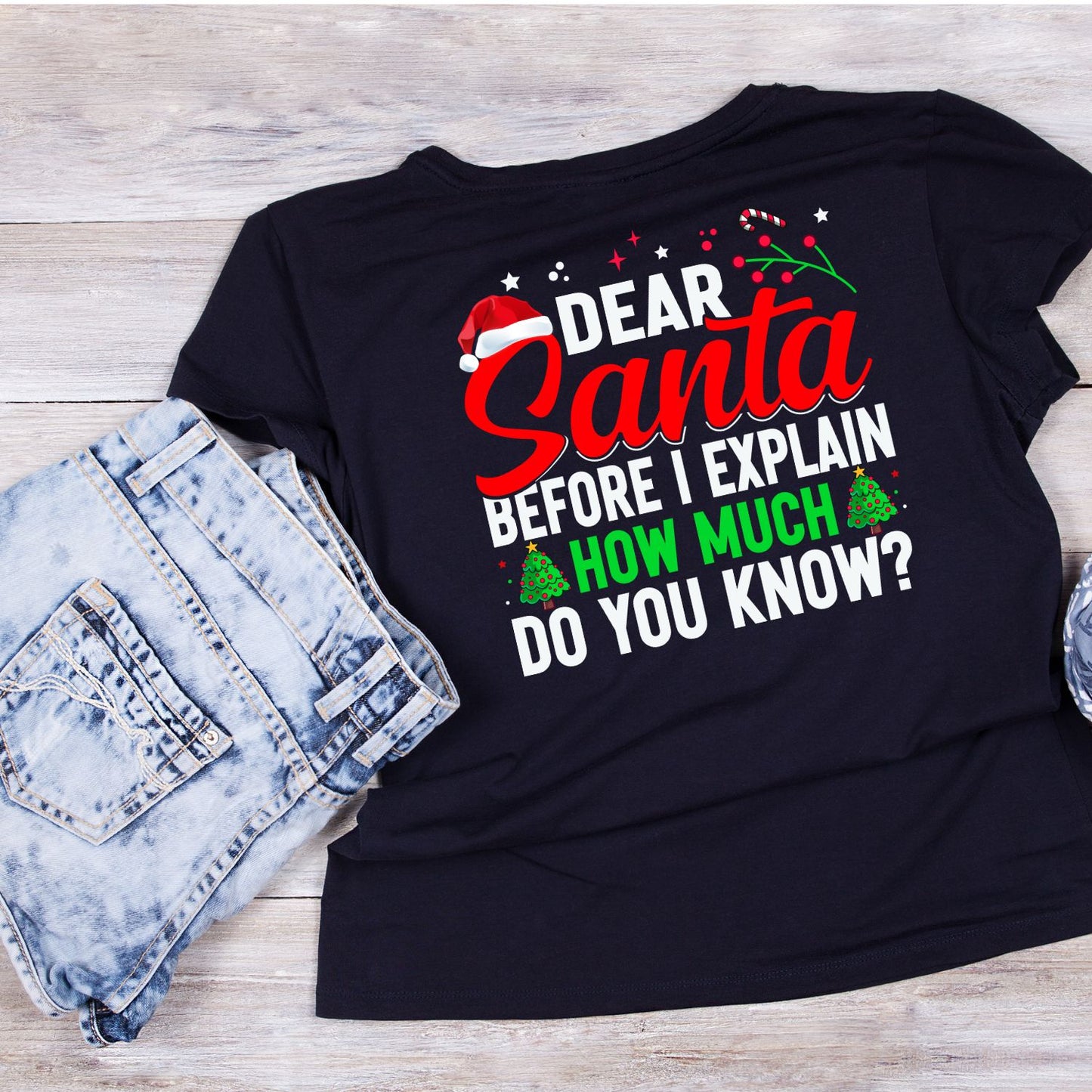 Dear Santa Before I Explain How Much Do You Know? T-shirt