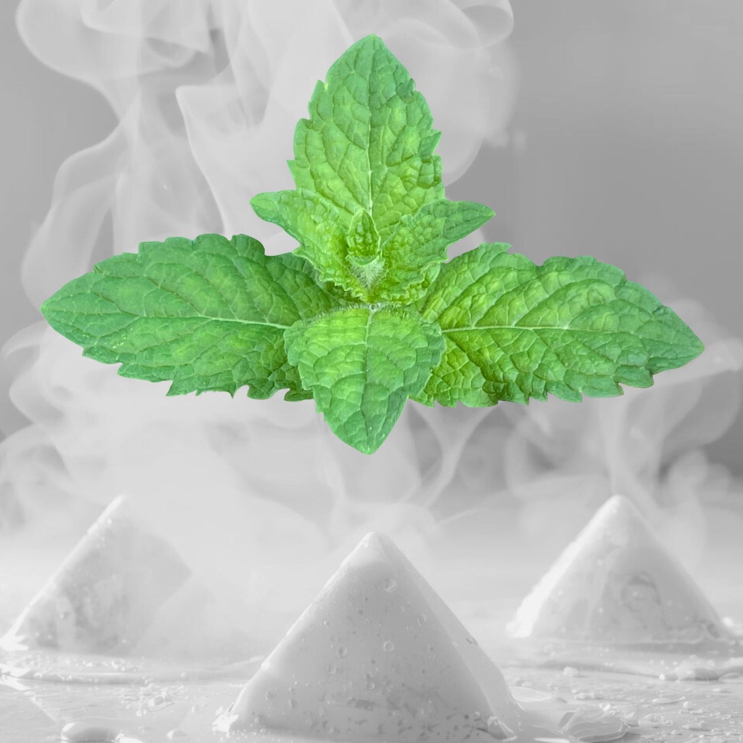 Peppermint Bath Steamer 5oz