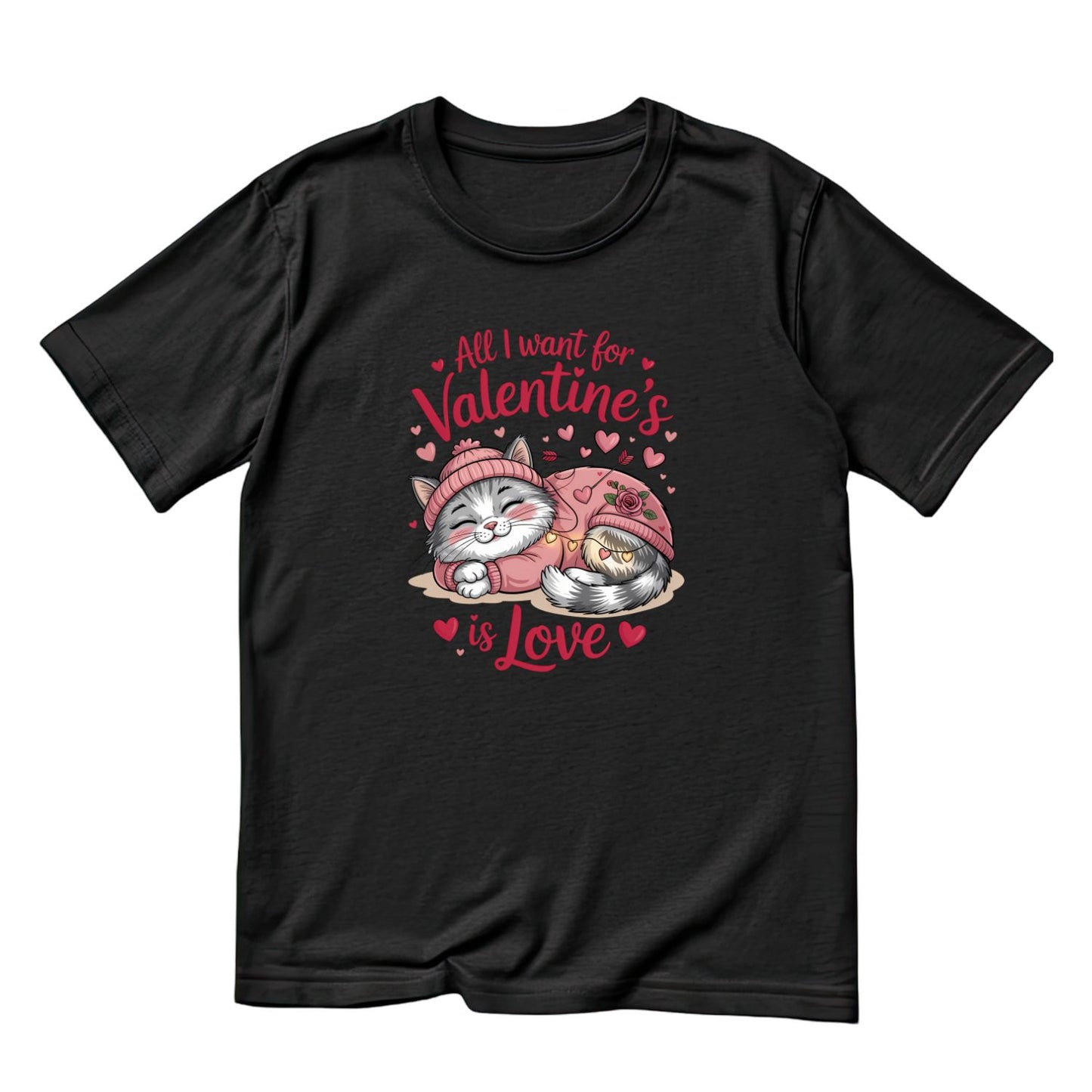 All I Want For Valentine’s Is Love T-shirt