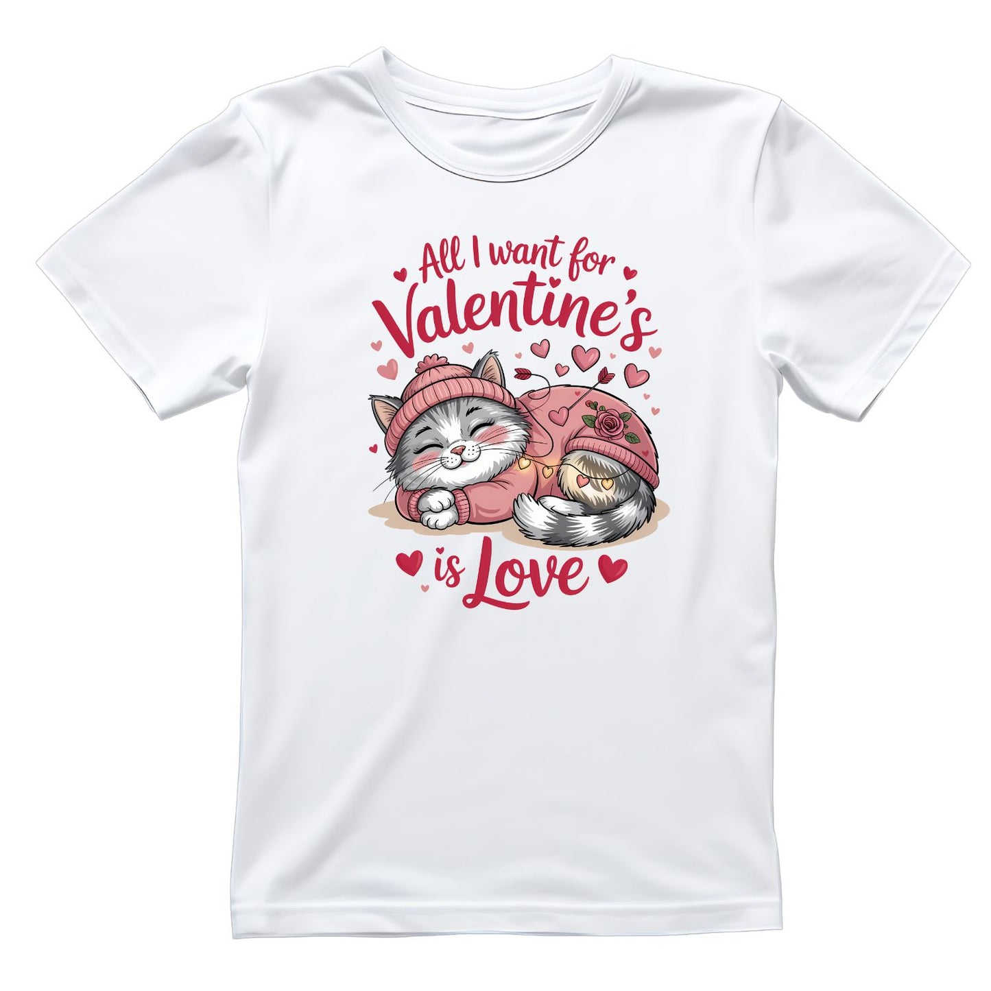 All I Want For Valentine’s Is Love T-shirt