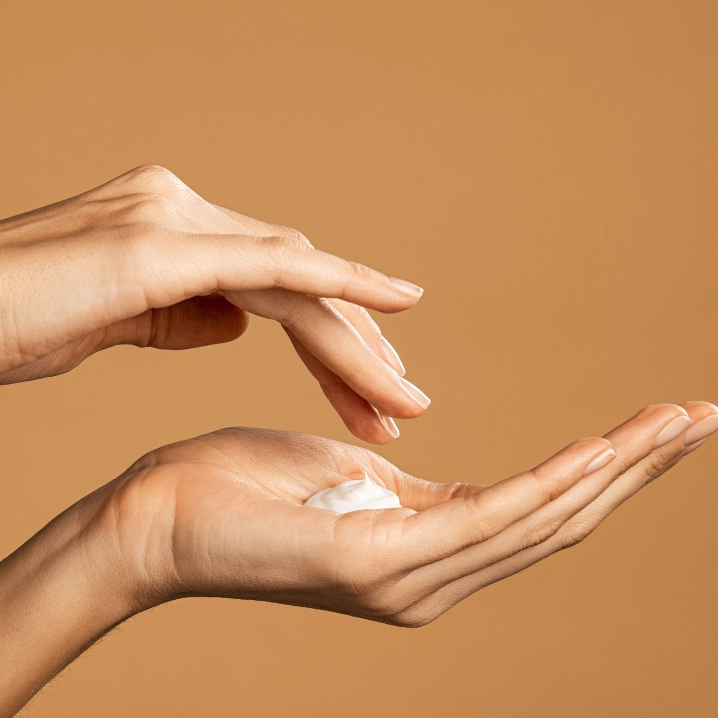 Shea Butter Lavender Lotion | Handmade in Canada | Bumble Twist Soap Co.