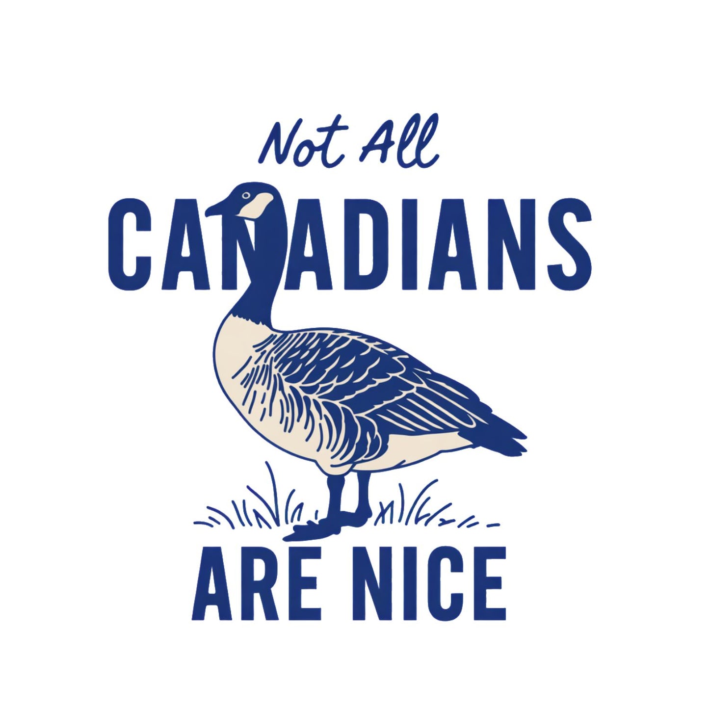 Not All Canadians Are Nice T-Shirt | July 1st Graphic Tee | Canada Day Shirt