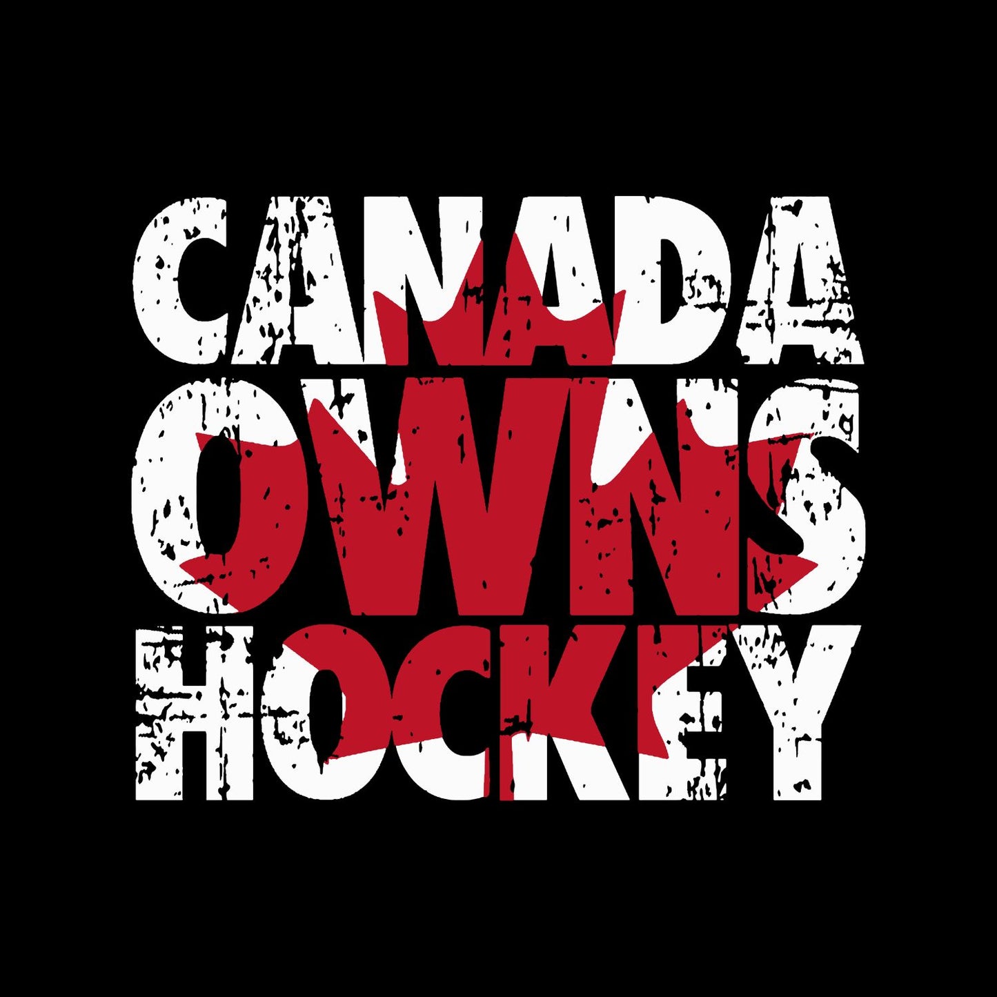 Canada Owns Hockey T-Shirt | July 1st Graphic Tee | Canada Day Shirt