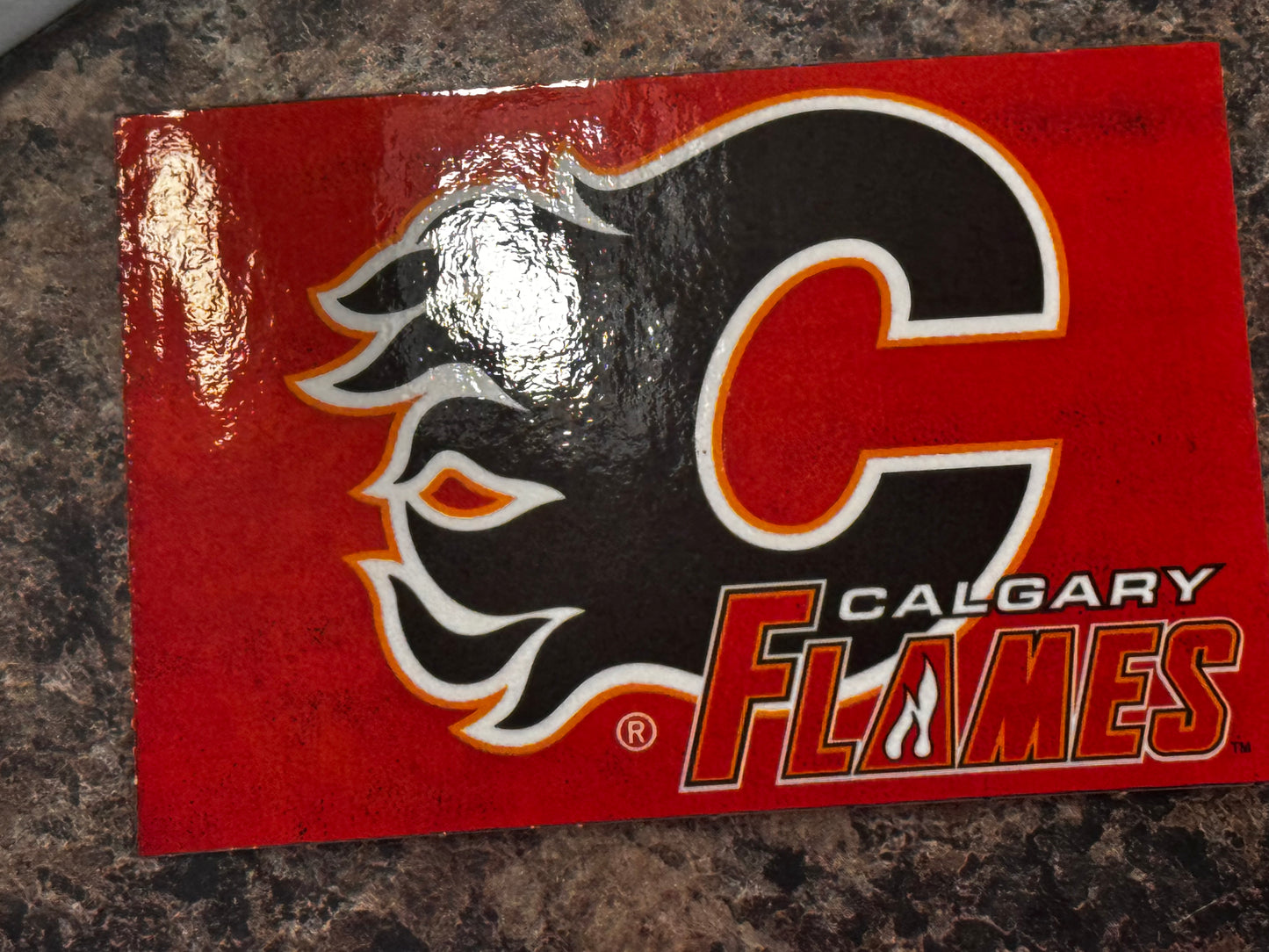 Calgary FLAMES NHL STICKER